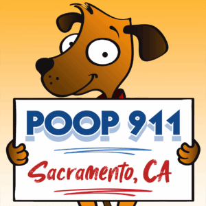 POOP 911 Sacramento, California pooper scooper service yard sign being held by a smiling brown dog