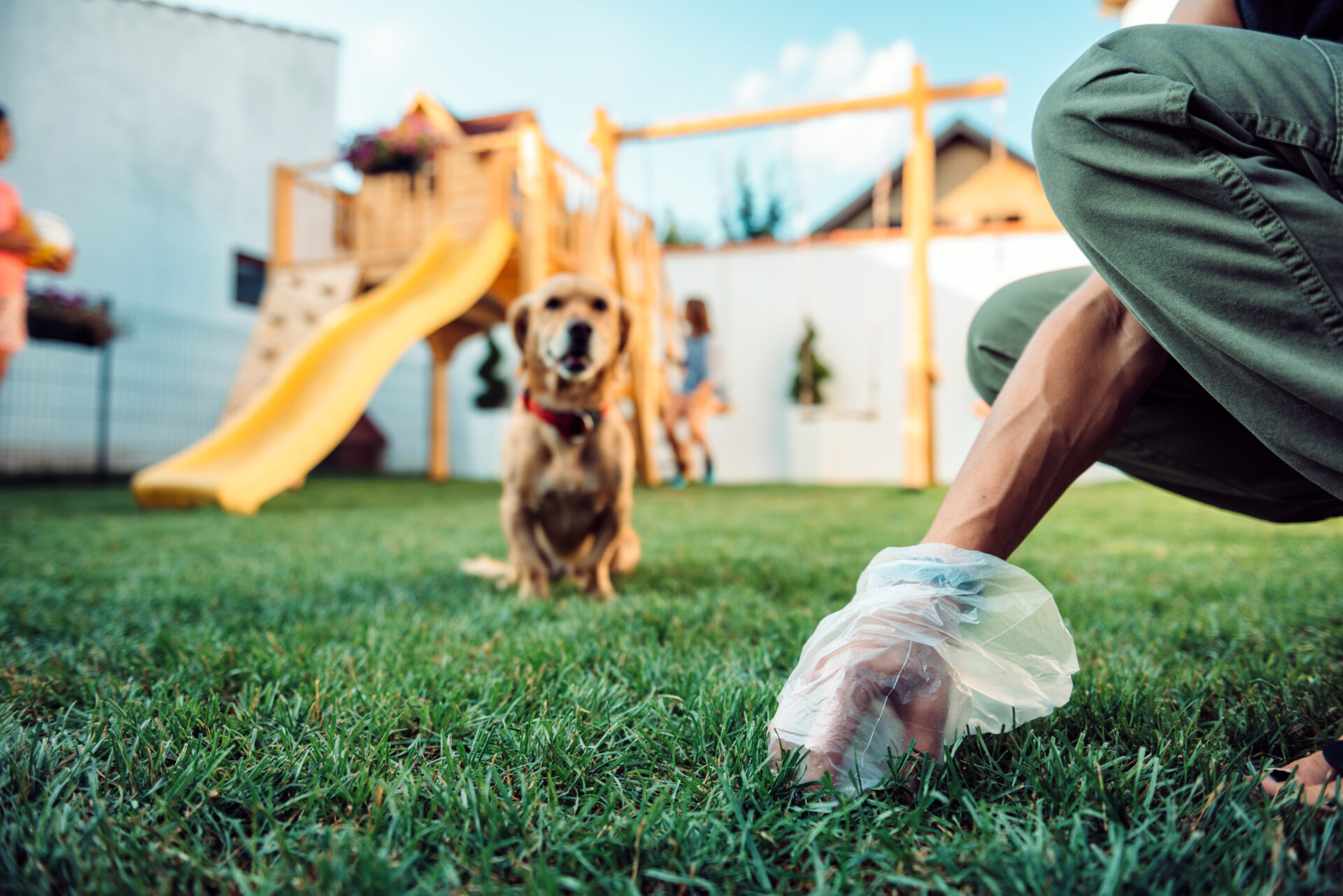 Danbury New Fairfield Connecticut Pooper Scooper Service - POOP 911